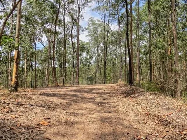 Gold Creek Reserve