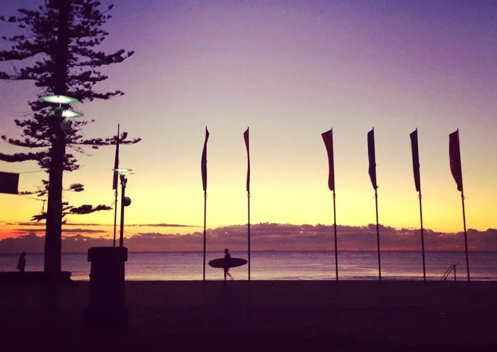 Pine trees and flags at sunset on the Manly foreshore