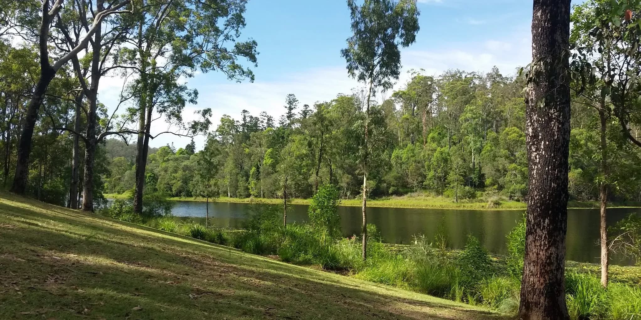 Enoggera