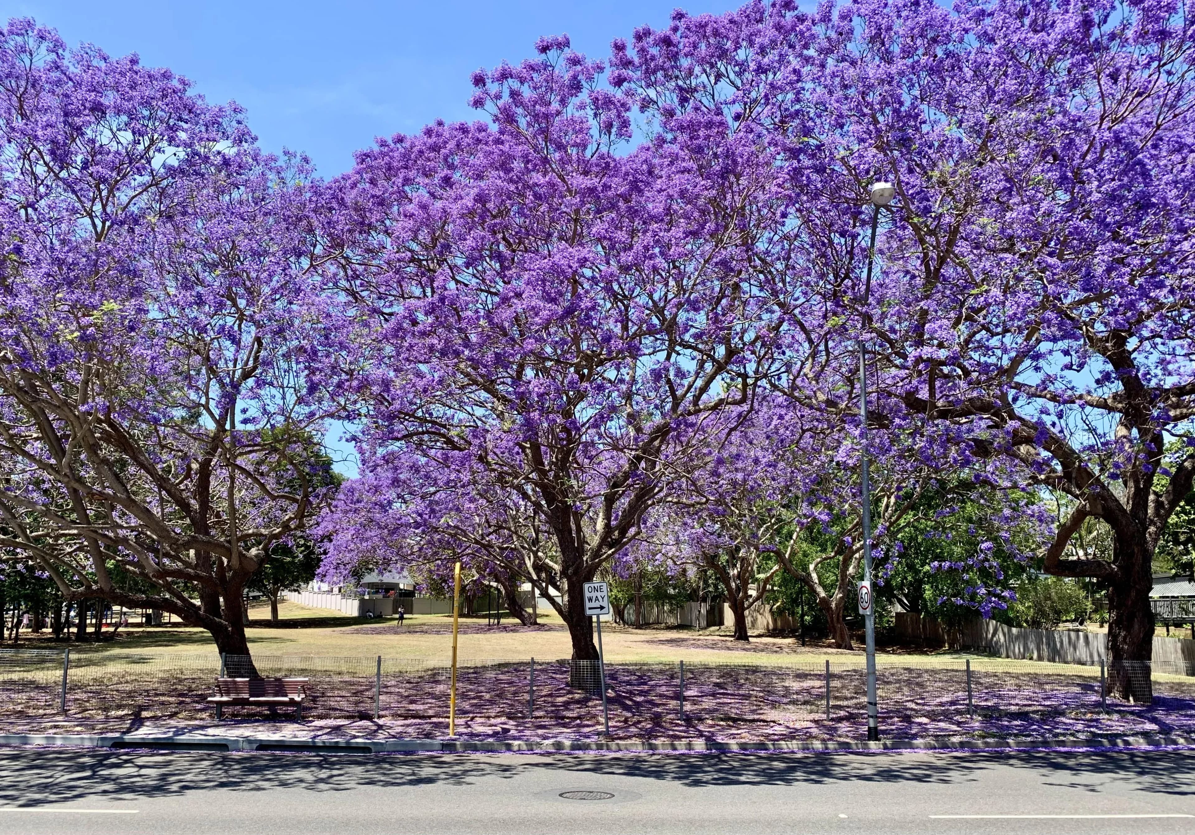 Dutton Park, Fairfield and Yeronga