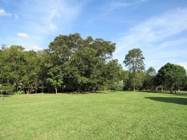 Preston Street Park