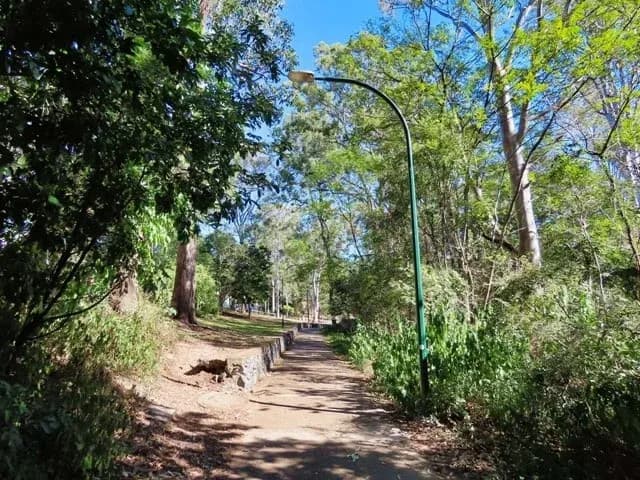 Miskin Street Park