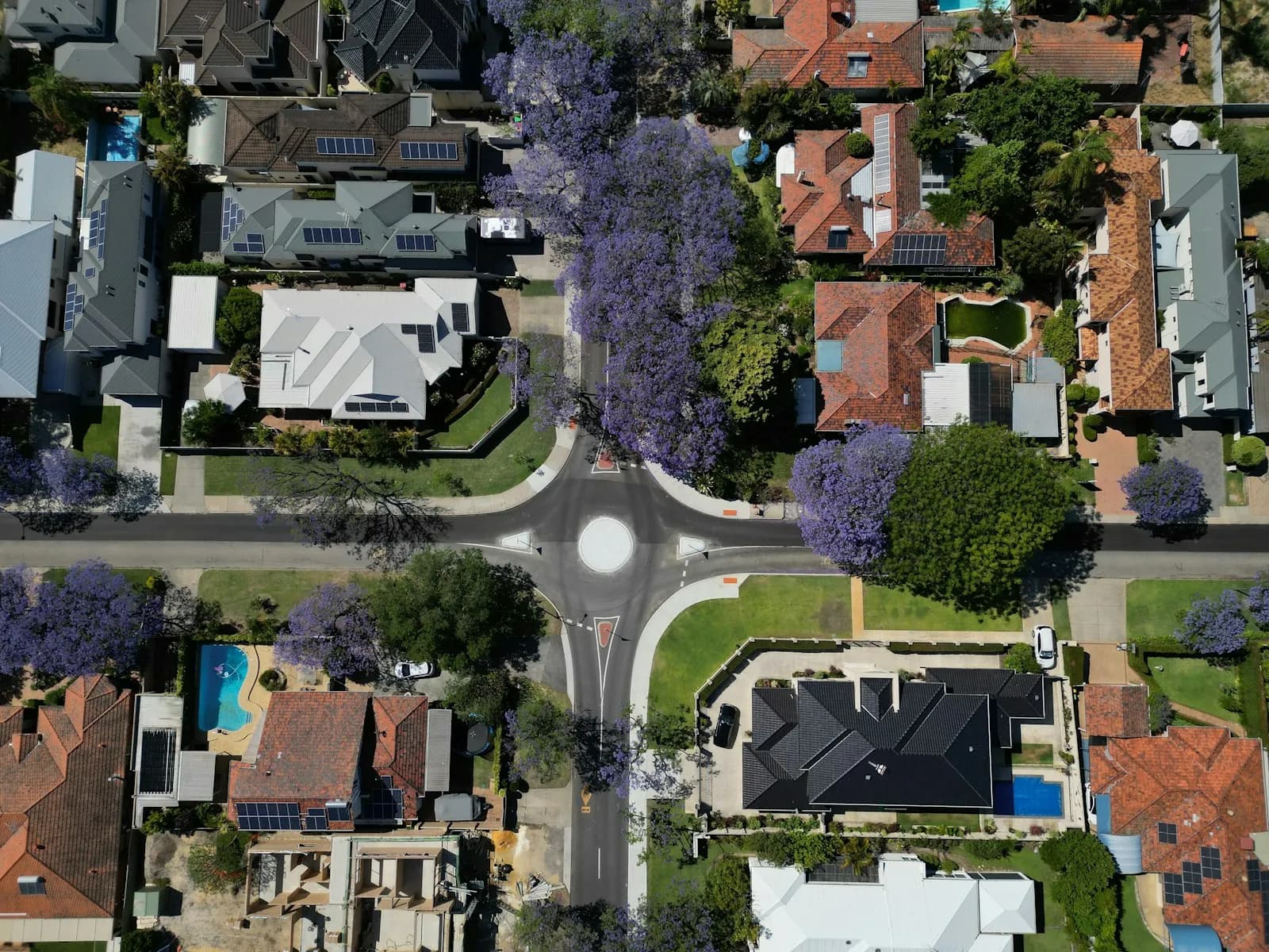 Aerial view of homes and jacaranda-lined streets