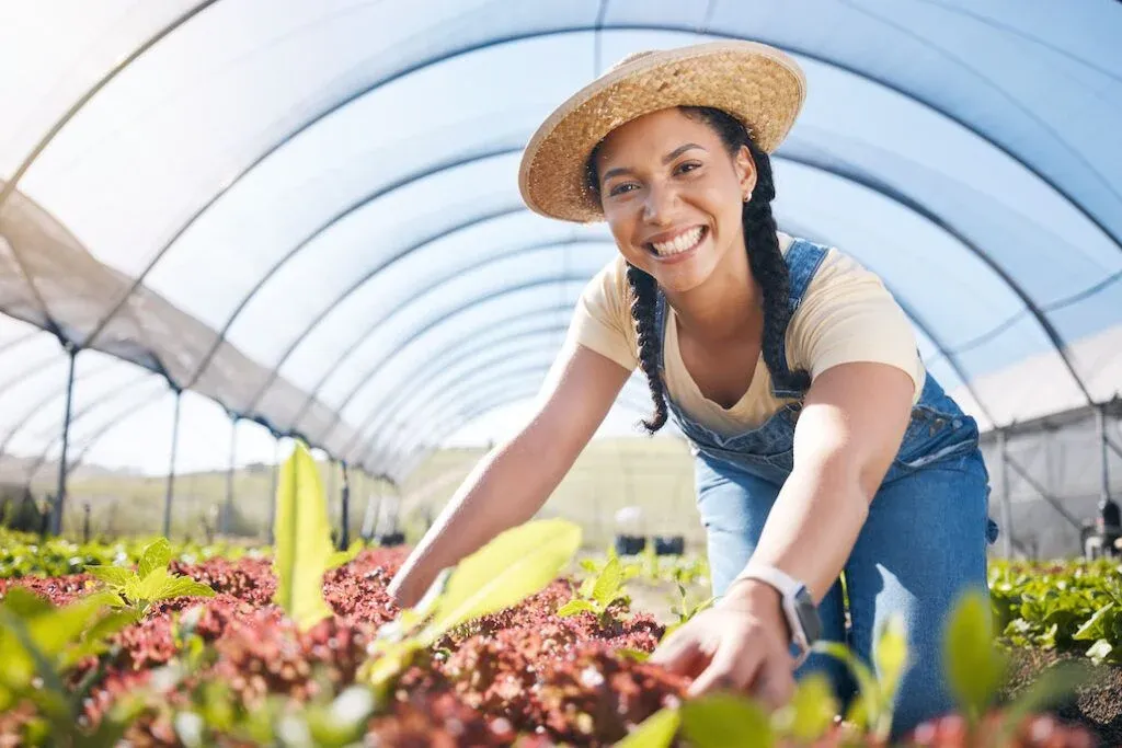 loan declined for seasonal workers