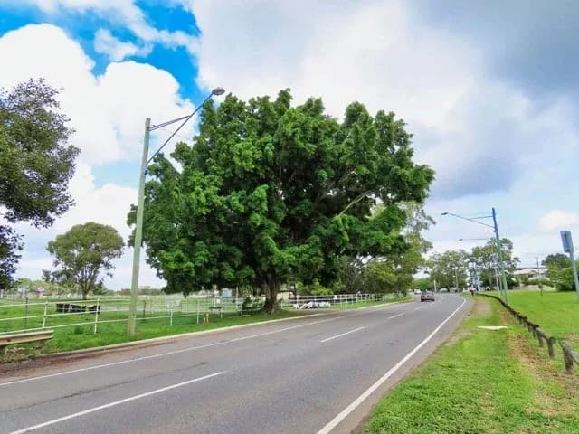 Nudgee Road Park (no. 695)