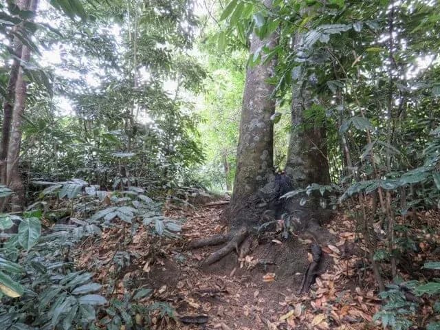 Waterworks Road Park (no. 1174)