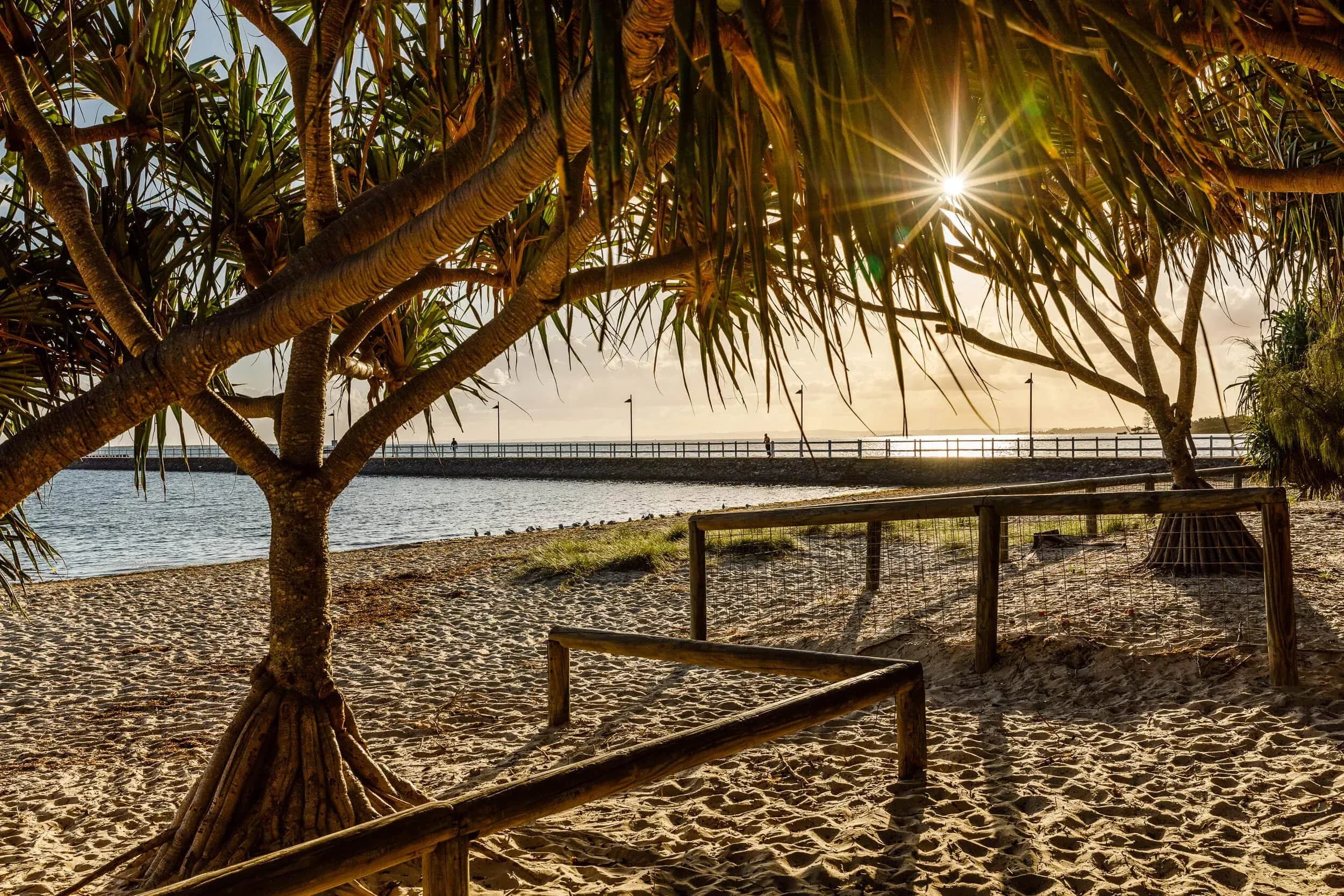 Lota, Manly, Wynnum, Manly West and Wynnum West