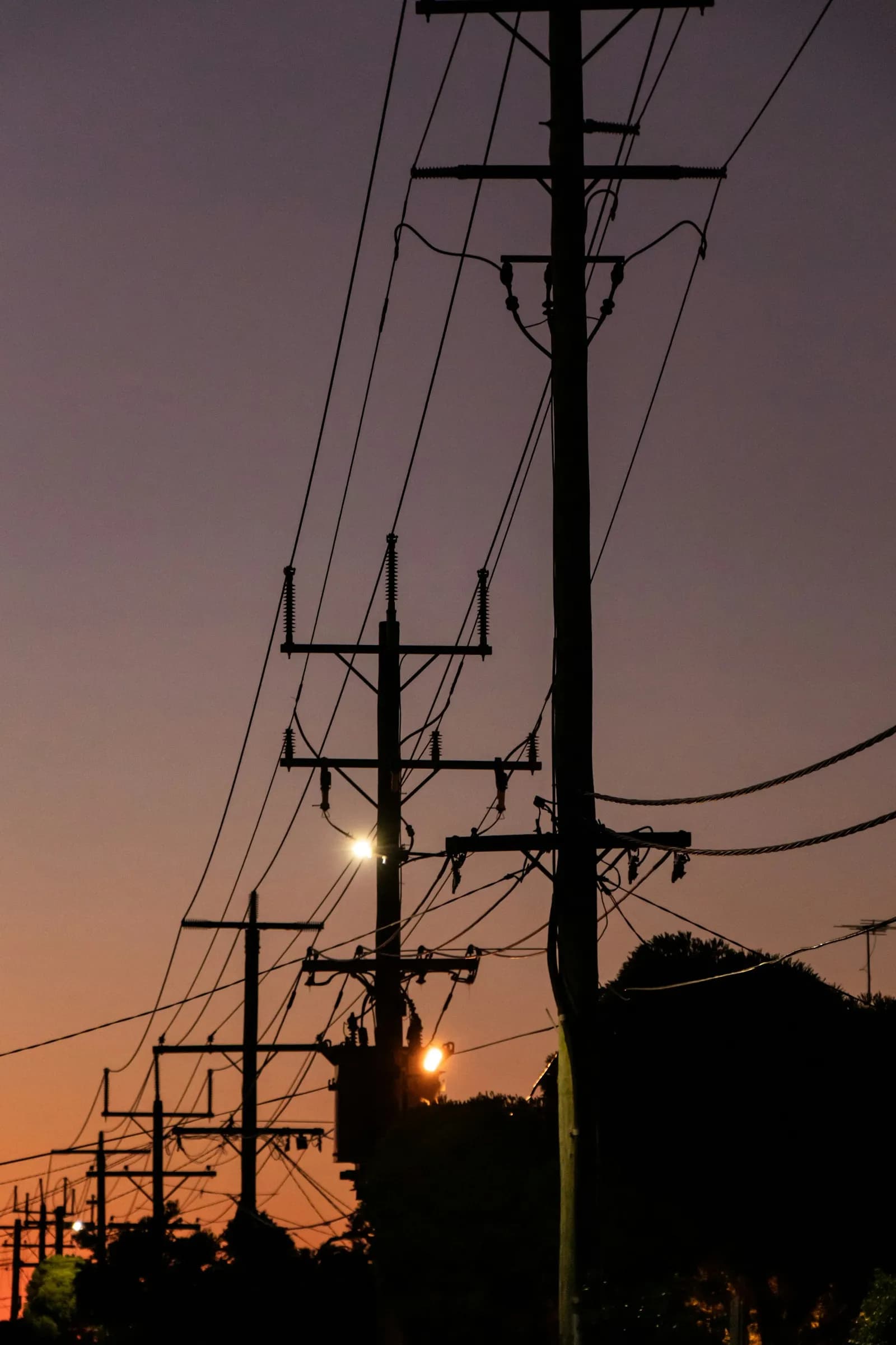 Electricity poles and overhead wires along a Melbourne street at sunset.