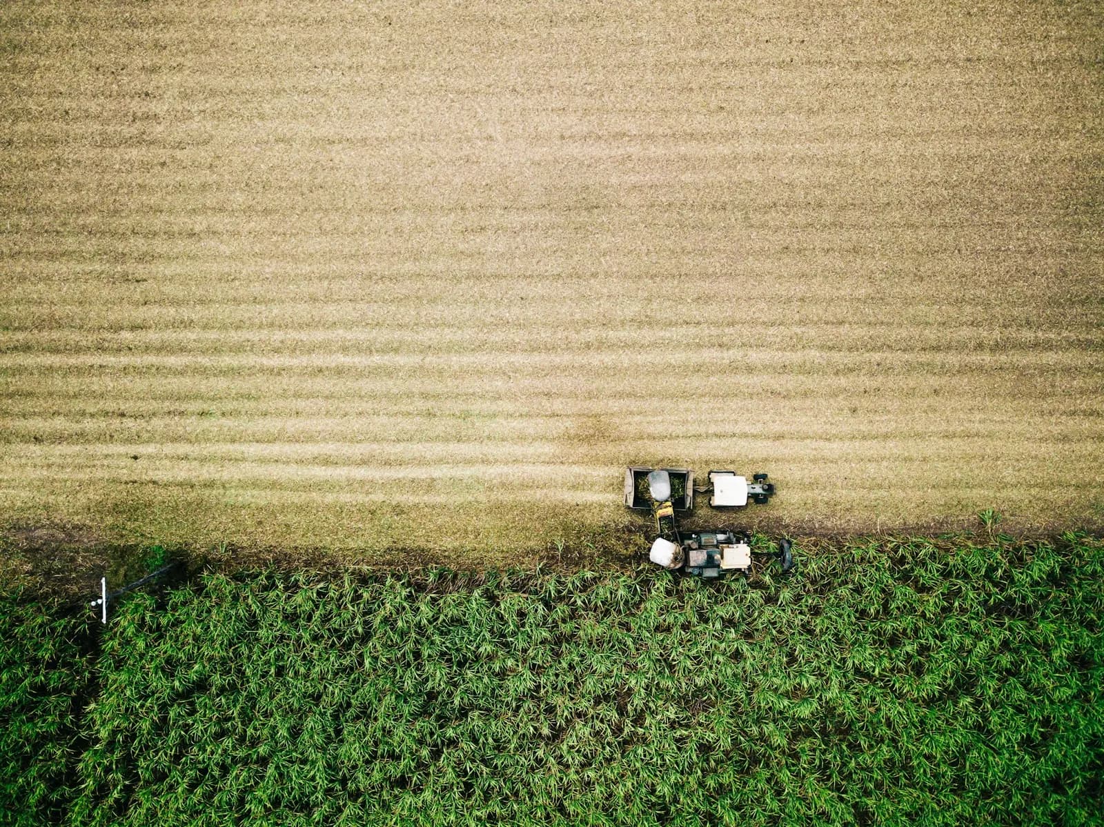 Aerial view of harvesting machinery in a sugarcane field near Mackay, Queensland.