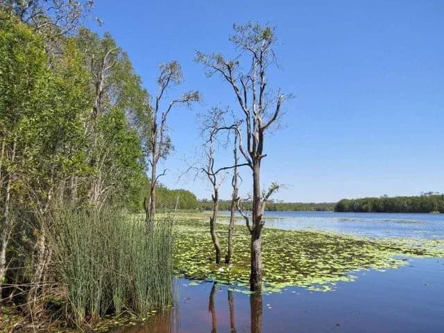 J.C. Trotter Memorial Park (Kuta-Bah, Lesley Harrison Bushland, Trotter Memorial Park)