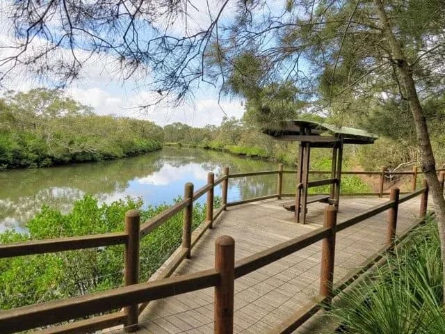 Tingalpa Creek Reserve