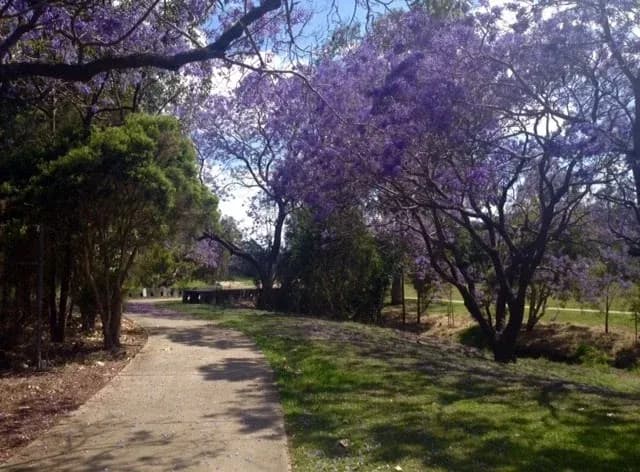 Ashridge Road Park (Monier Road Park)