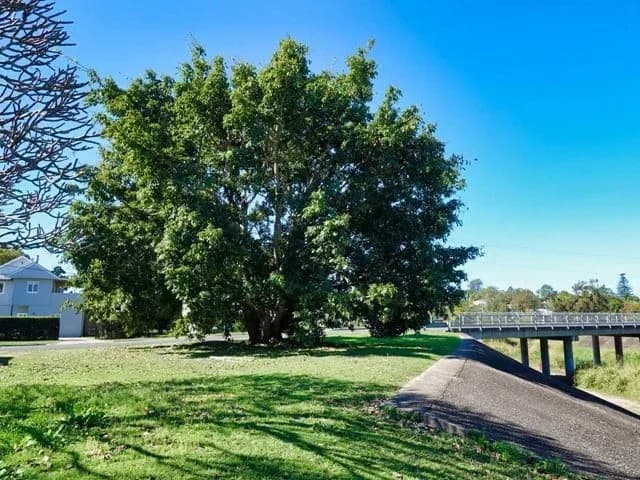 Montrose Park