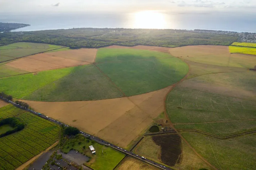 Which loan is best to buy land