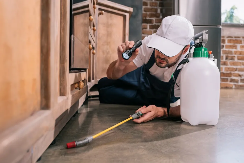 mistake 3 - skipping building and pest inspection