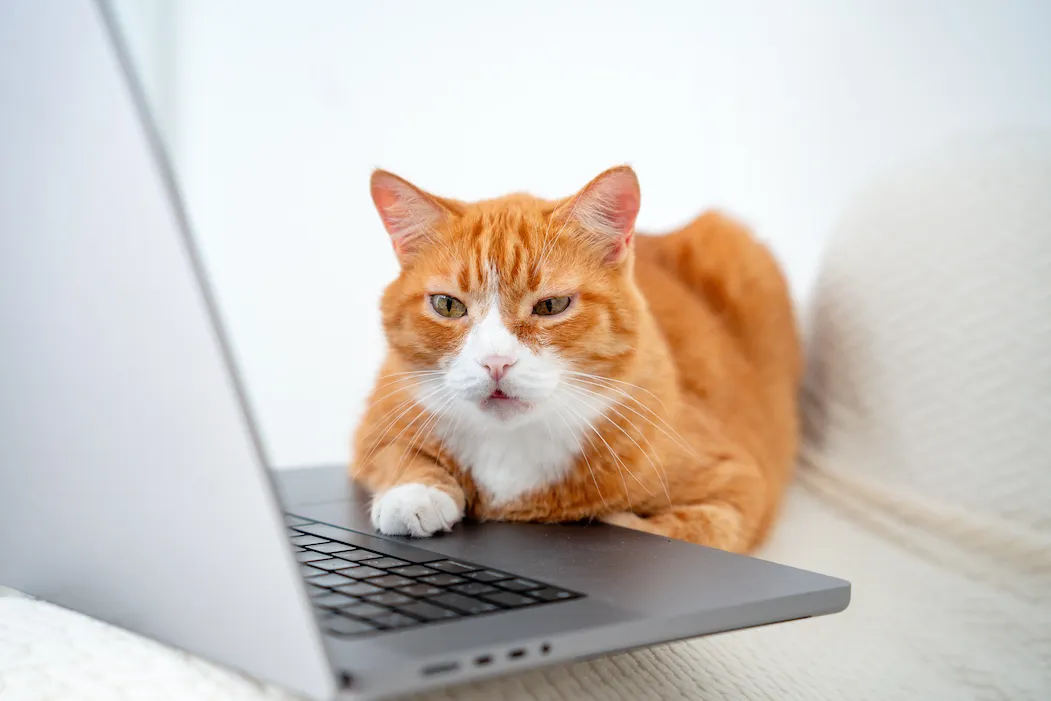 online calculators are not reliable for contractors