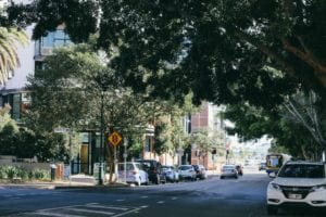 building and pest brisbane