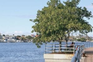 home loan brisbane