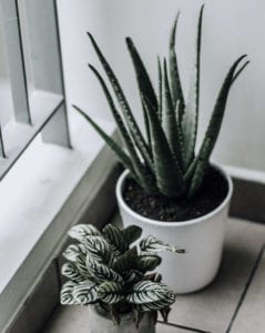 guide-to-buying-home