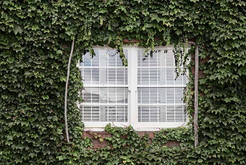 outside renovations