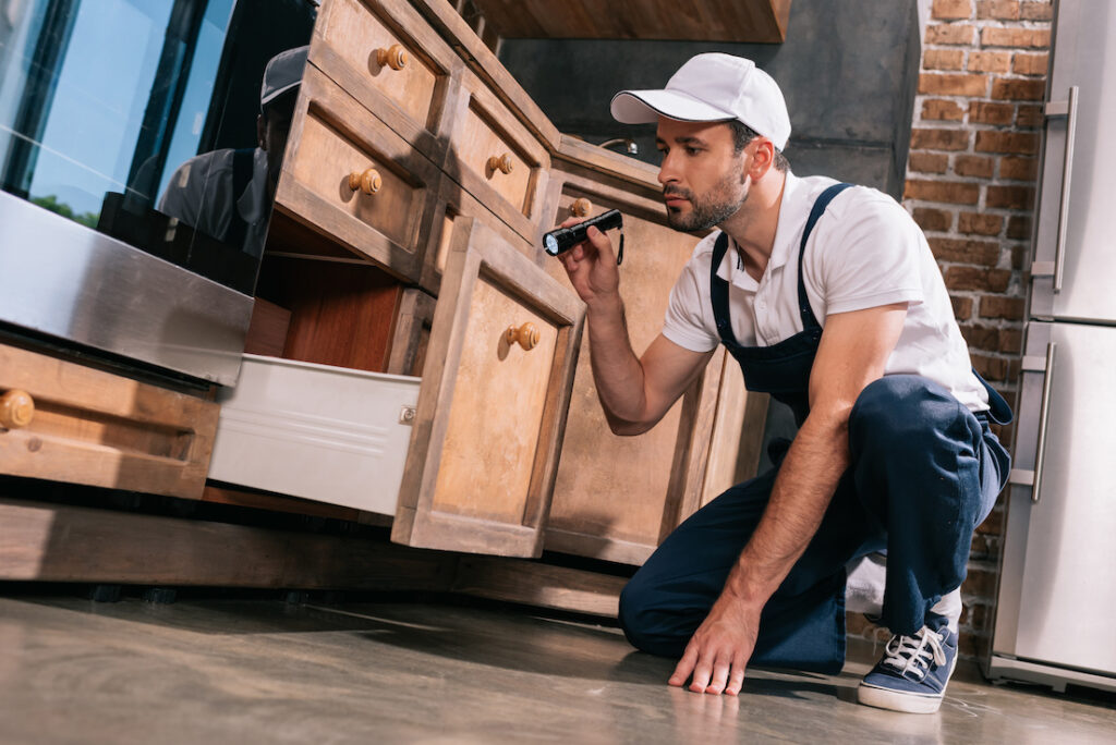 reduce building and pest inspection days
