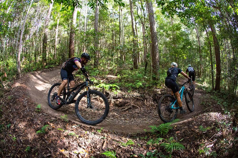 Trail at the sunshine coast mountain bike centre