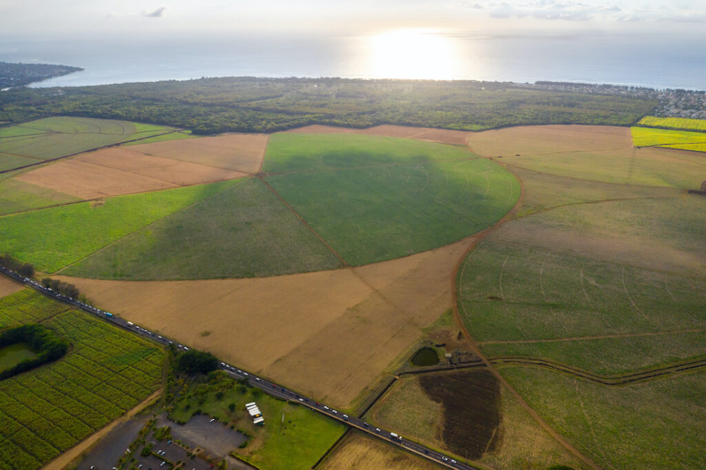 Which loan is best to buy land