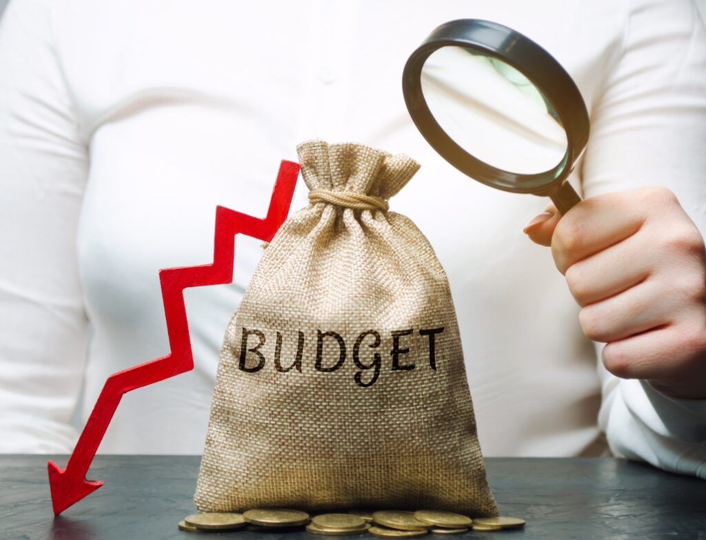 Audit your budget